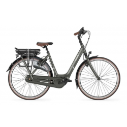 gazelle orange c8 hmb 2019