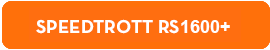 piece detachee trottinette electrique speedtrott RS1600