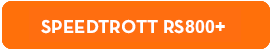 piece detachee trottinette electrique speedtrott RS800